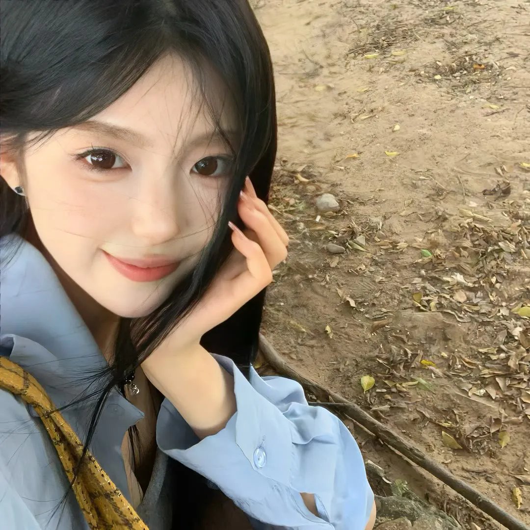 真正的家人 在线观看